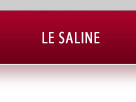 Le Saline